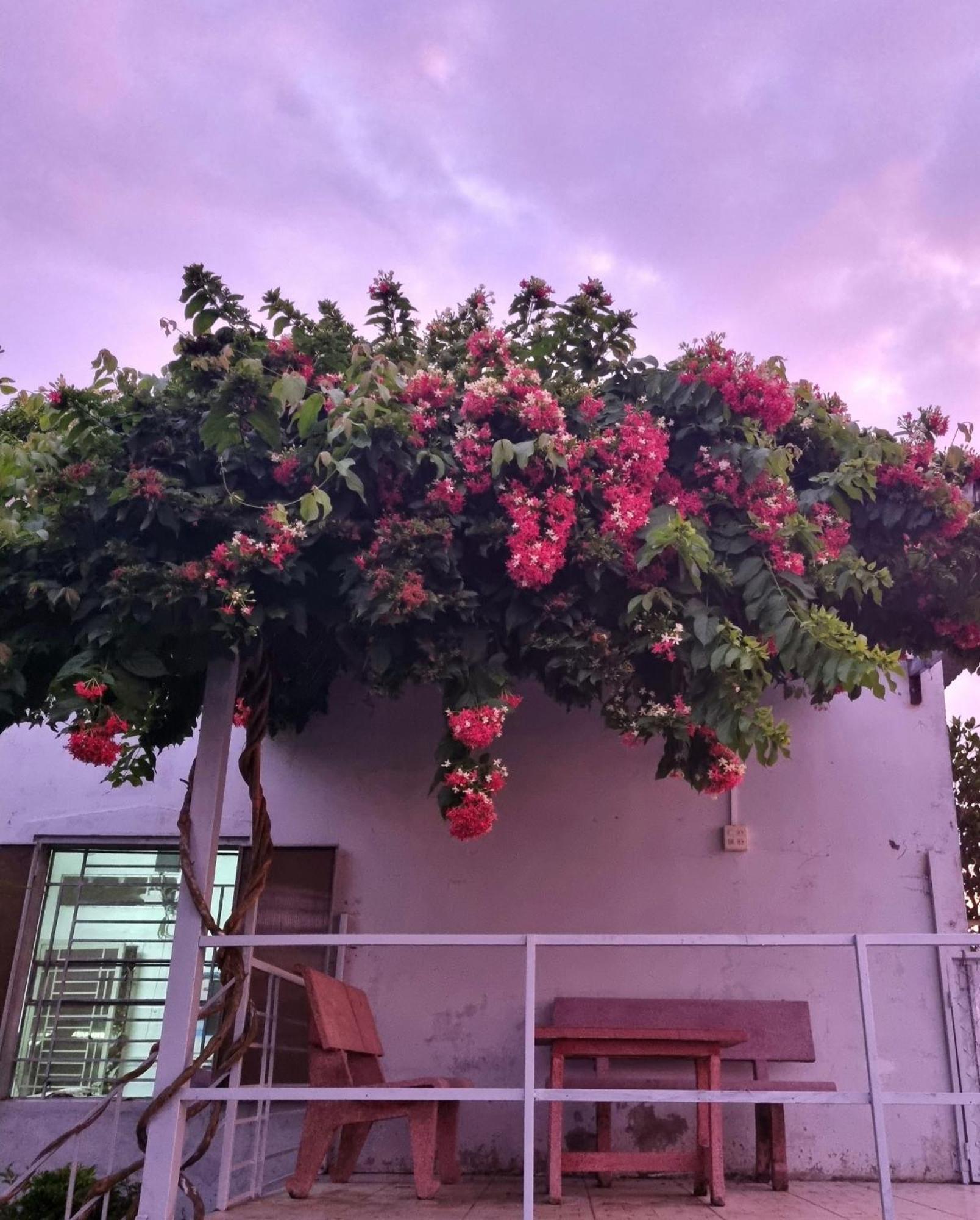 קאן טו Tran Phu Riverside House מראה חיצוני תמונה
