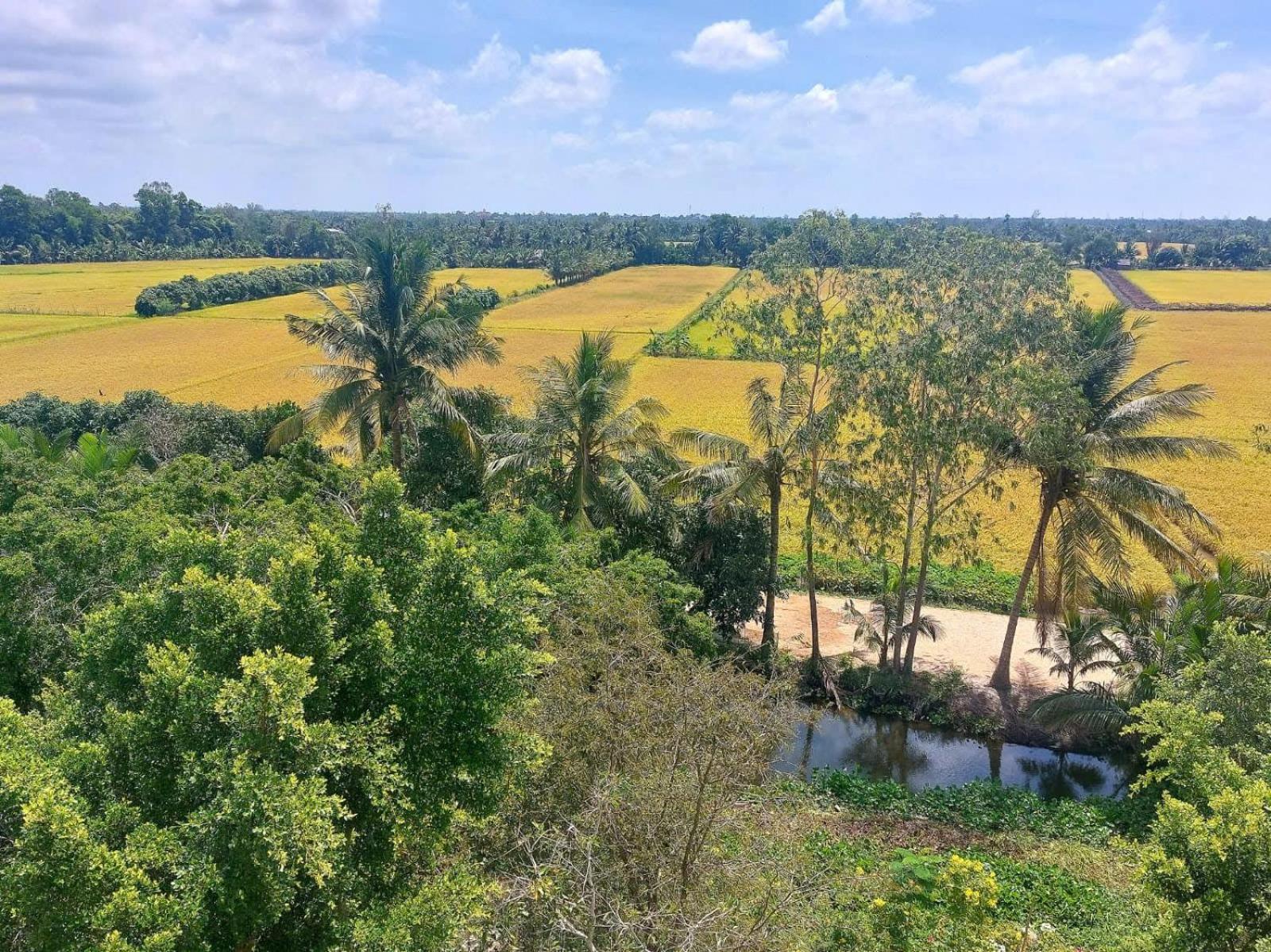 קאן טו Tran Phu Riverside House מראה חיצוני תמונה