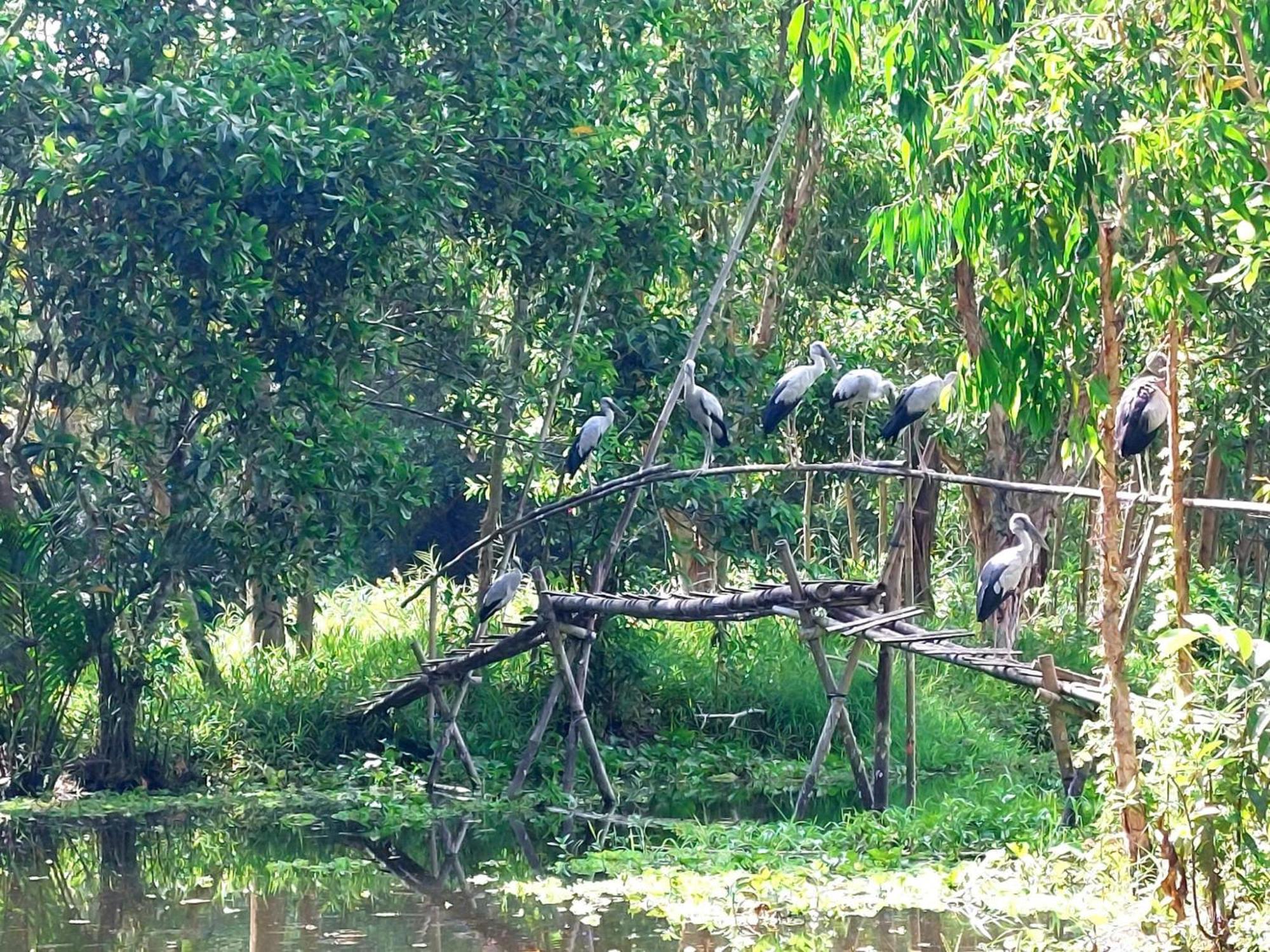 קאן טו Tran Phu Riverside House מראה חיצוני תמונה